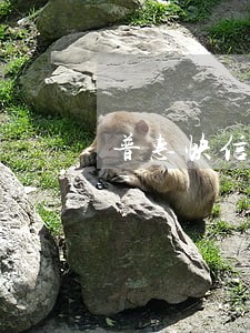 普惠快信贷款逾期上征信吗 普惠快信贷款逾期上征信吗