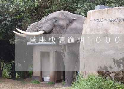 普惠快信逾期1000天会怎样