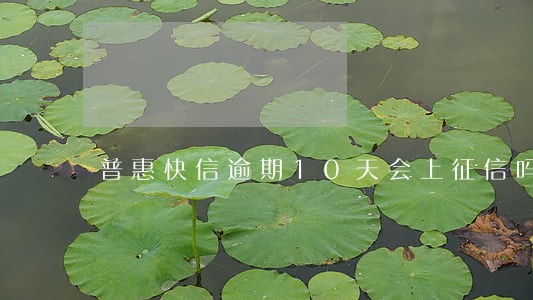 普惠快信逾期10天会上征信吗 普惠快信逾期10天会上征信吗