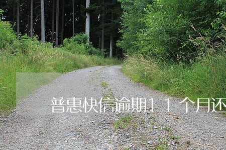 普惠快信逾期11个月还能分期吗