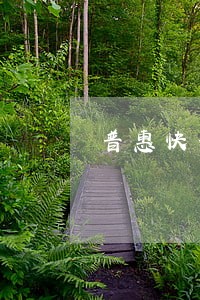 普惠快信逾期2019年处理 普惠快信逾期2019年处理