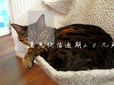 普惠快信逾期20几天了 普惠快信逾期20几天了
