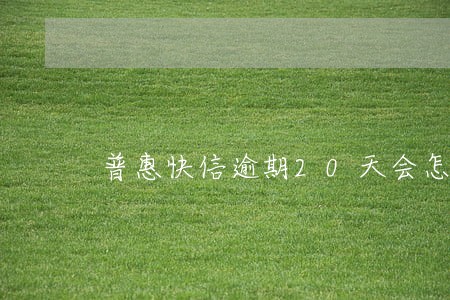 普惠快信逾期20天会怎么样 普惠快信逾期20天会怎么样