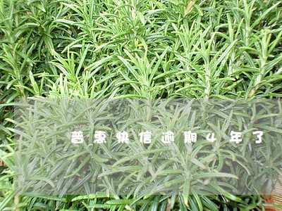 普惠快信逾期4年了 普惠快信逾期4年了