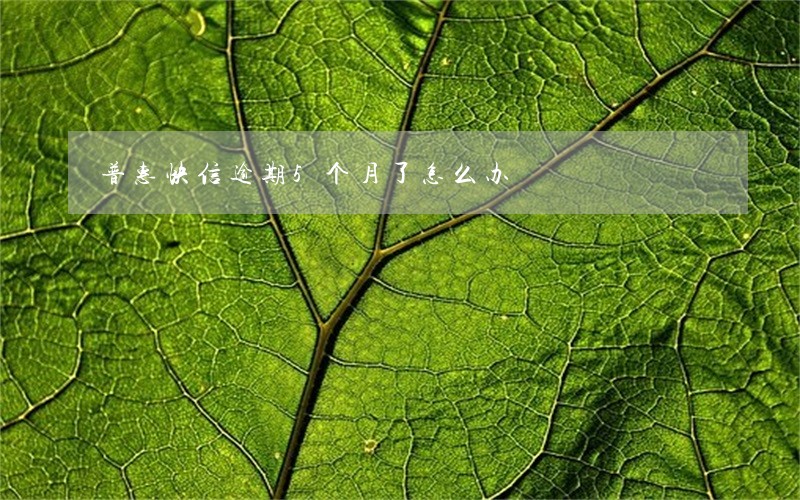 普惠快信逾期5个月了怎么办