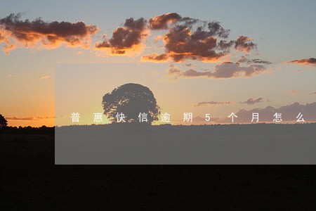 普惠快信逾期5个月怎么办 普惠快信逾期5个月怎么办