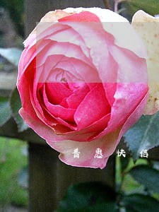普惠快信逾期7天 普惠快信逾期7天