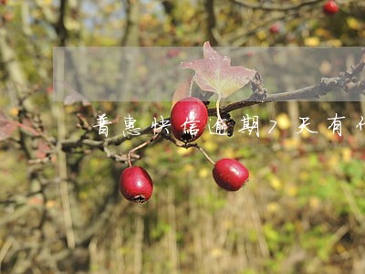 普惠快信逾期7天有什么 普惠快信逾期7天有什么