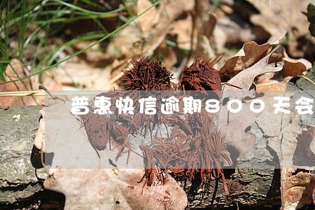 普惠快信逾期800天会不会坐牢