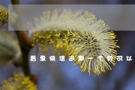 普惠快信逾期一个月可以赔偿吗