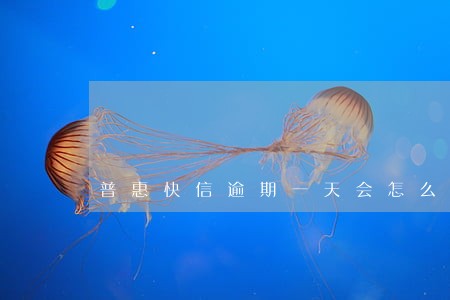 普惠快信逾期一天会怎么样 普惠快信逾期一天会怎么样