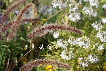 普惠快信逾期三个月怎么处罚 普惠快信逾期三个月怎么处罚