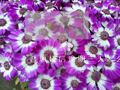 普惠快信逾期三天怎么办 普惠快信逾期三天怎么办