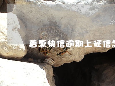 普惠快信逾期上征信怎么办 普惠快信逾期上征信怎么办