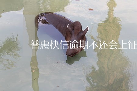 普惠快信逾期不还会上征信吗 普惠快信逾期不还会上征信吗