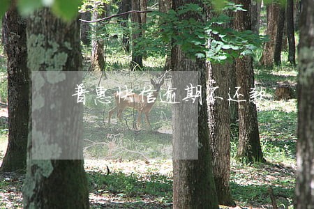 普惠快信逾期不还款 普惠快信逾期不还款