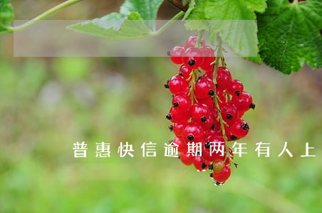 普惠快信逾期两年有人上门 普惠快信逾期两年有人上门