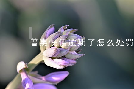 普惠快信逾期了怎么处罚 普惠快信逾期了怎么处罚