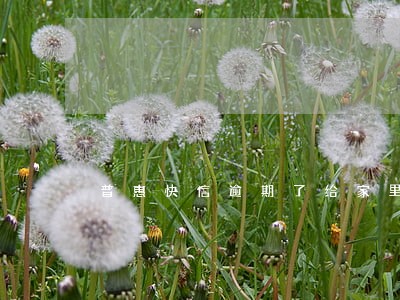 普惠快信逾期了给家里打电话吗 普惠快信逾期了给家里打电话吗