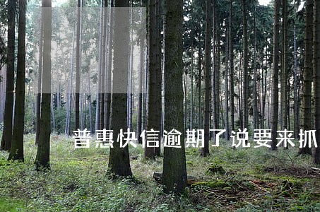 普惠快信逾期了说要来抓我 普惠快信逾期了说要来抓我