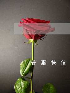 普惠快信逾期了还可以再分期还吗 普惠快信逾期了还可以再分期还吗
