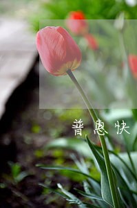 普惠快信逾期了还多少 普惠快信逾期了还多少