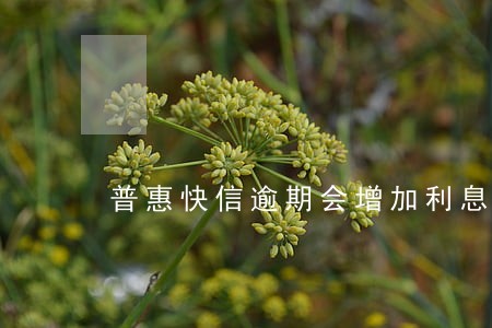 普惠快信逾期会增加利息吗 普惠快信逾期会增加利息吗