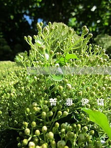普惠快信逾期会收到短信吗 普惠快信逾期会收到短信吗