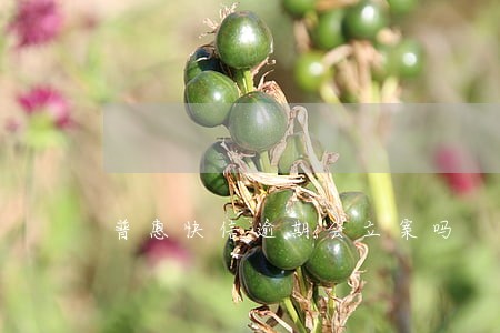 普惠快信逾期会立案吗 普惠快信逾期会立案吗