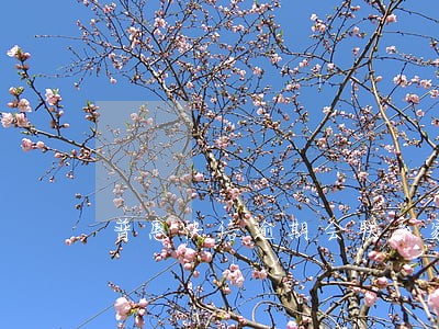 普惠快信逾期会联系家里人吗 普惠快信逾期会联系家里人吗