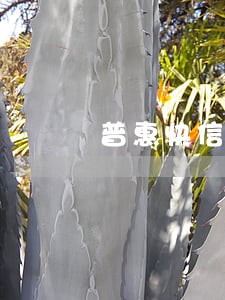 普惠快信逾期会被告 普惠快信逾期会被告