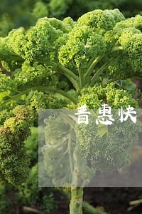 普惠快信逾期俩月利息怎么那么高 普惠快信逾期俩月利息怎么那么高