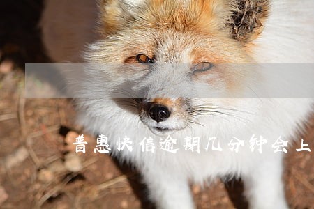 普惠快信逾期几分钟会上征信吗 普惠快信逾期几分钟会上征信吗