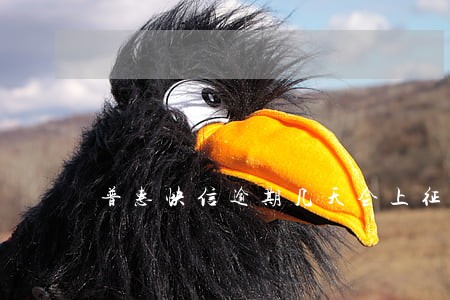 普惠快信逾期几天会上征信 普惠快信逾期几天会上征信