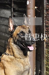 普惠快信逾期利息6 普惠快信逾期利息6