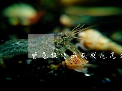 普惠快信逾期利息怎么计算 普惠快信逾期利息怎么计算