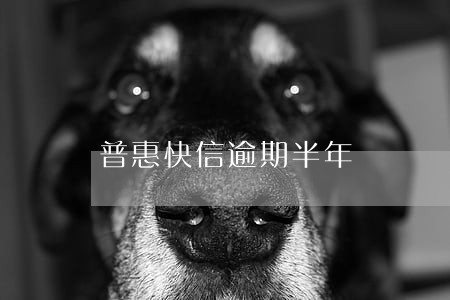 普惠快信逾期半年 普惠快信逾期半年