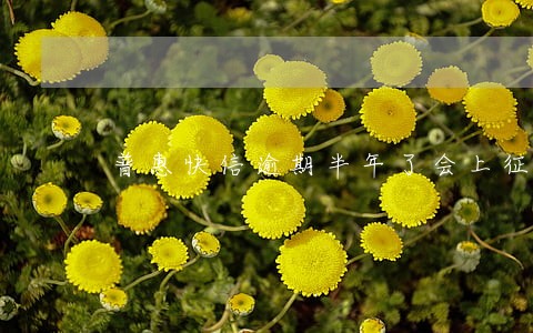 普惠快信逾期半年了会上征信吗 普惠快信逾期半年了会上征信吗