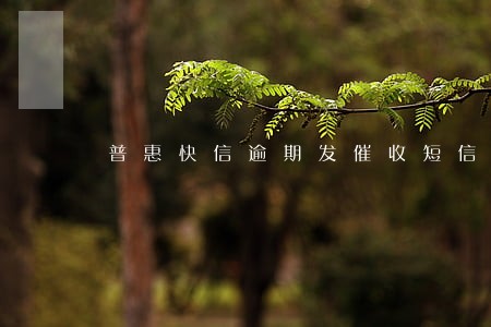普惠快信逾期发催收短信怎么办 普惠快信逾期发催收短信怎么办