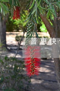 普惠快信逾期坐牢 普惠快信逾期坐牢
