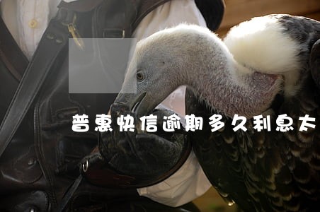 普惠快信逾期多久利息太高了 普惠快信逾期多久利息太高了