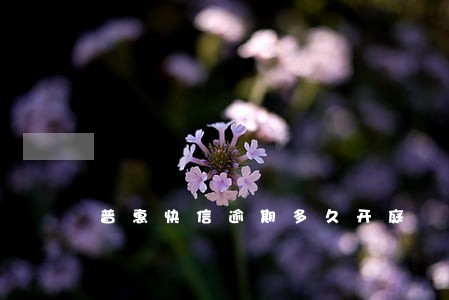 普惠快信逾期多久开庭 普惠快信逾期多久开庭