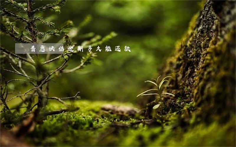 普惠快信逾期多久能还款 普惠快信逾期多久能还款