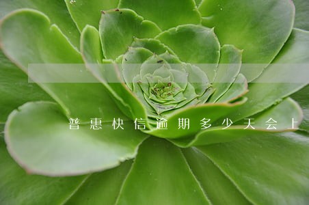 普惠快信逾期多少天会上征信 普惠快信逾期多少天会上征信