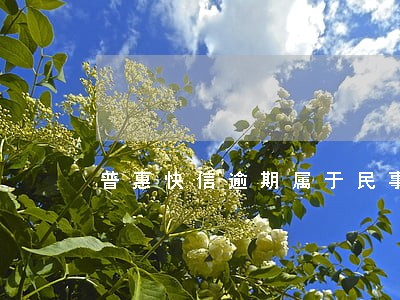 普惠快信逾期属于民事案件呢 普惠快信逾期属于民事案件呢