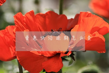 普惠快信逾期怎么查 普惠快信逾期怎么查