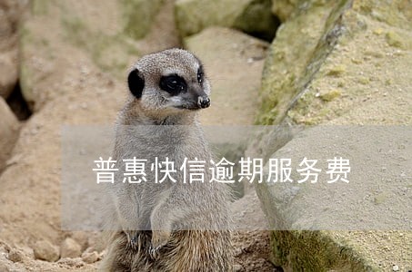 普惠快信逾期服务费 普惠快信逾期服务费