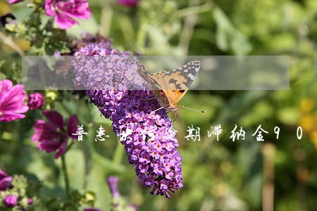 普惠快信逾期滞纳金900多 普惠快信逾期滞纳金900多