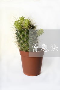 普惠快信逾期诉讼 普惠快信逾期诉讼