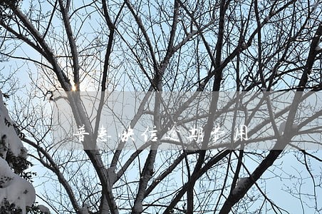普惠快信逾期费用